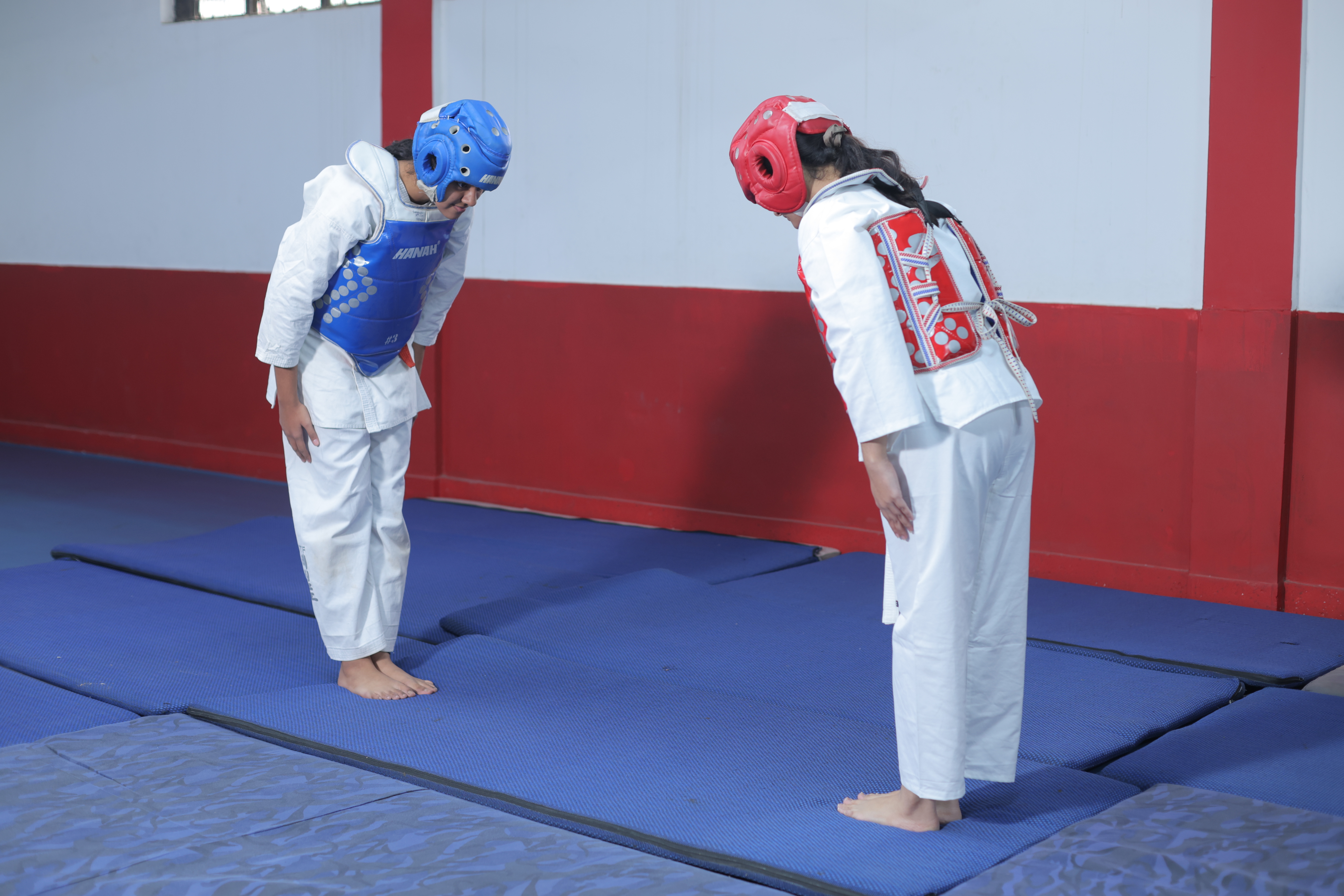 Fencing